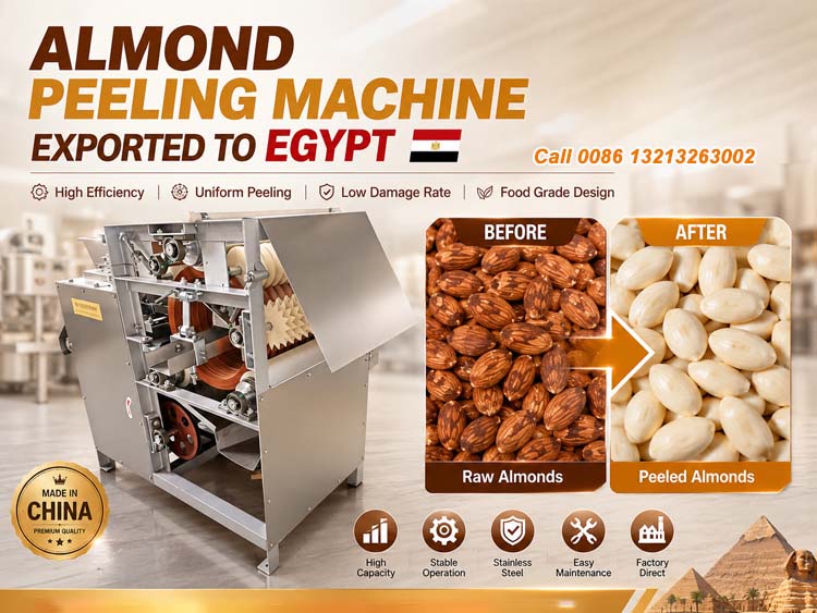 Nuts Processing Machine